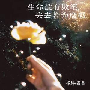 Album 生命没有败笔 失去皆为磨砺 from 橘络