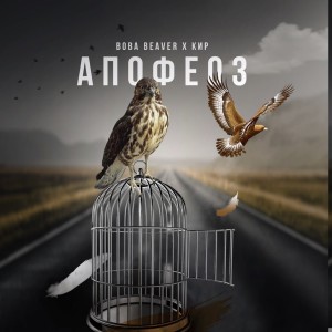 Album Апофеоз (Explicit) from Вова Beaver