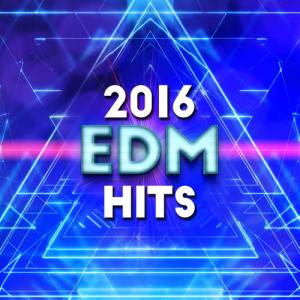 อัลบัม 2016 EDM Hits ศิลปิน This Is EDM 2015