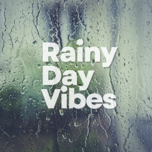 Various的專輯Rainy Day Vibes (Explicit)