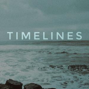 Listen to Timelines (Explicit) song with lyrics from Anizsh