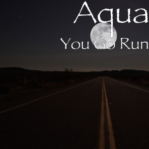 Album You Go Run from Aqua