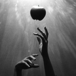 Munn的專輯forbidden fruit