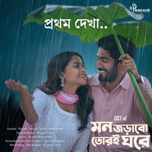 Album Tui Chaile Megh Hobo For TikTok from Rupak Tiary