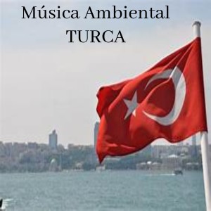 Album Música Ambiental TURCA oleh DJ EDM