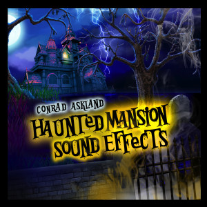 ดาวน์โหลดและฟังเพลง Psycho Suspense พร้อมเนื้อเพลงจาก Conrad Askland