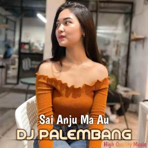 DJ PALEMBANG的专辑DJ Sai Anju Ma Au (Remix Palembang)