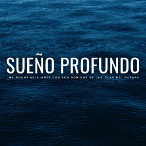 Album Sueño Profundo: Una Noche Relajante Con Los Sonidos De Las Olas Del Océano oleh Relajarse Meditar Sueño Medios