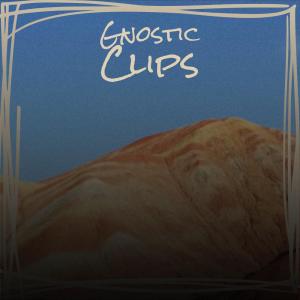 收听Allia Puso的Gnostic Clips歌词歌曲