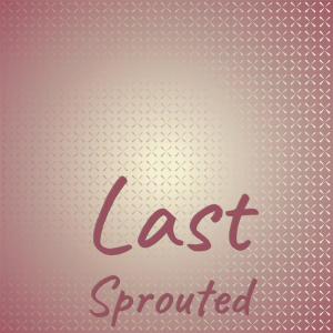 ดาวน์โหลดและฟังเพลง Jukebox Archilochus พร้อมเนื้อเพลงจาก Elve Batr