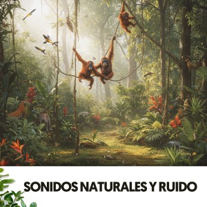 White Noise Baby Sleep Music的專輯Sonidos Naturales y Ruido: Symphony of Earth's Melodies