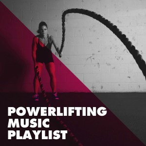 Listen to Levels song with lyrics from Morgan Fox