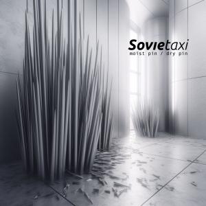 ดาวน์โหลดและฟังเพลง dry pin 干燥针 พร้อมเนื้อเพลงจาก Sovietaxi