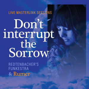 Redtenbacher's Funkestra的專輯Don't interrupt the Sorrow (Live Masterlink Sessions)