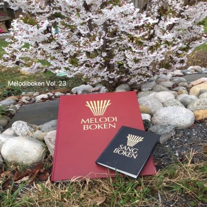 收聽Johan Muren的Har du ditt hus oppå klippen bygt歌詞歌曲