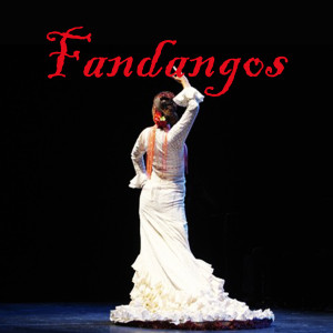 ดาวน์โหลดและฟังเพลง Que Llore por Tu Querer พร้อมเนื้อเพลงจาก El Agujetas