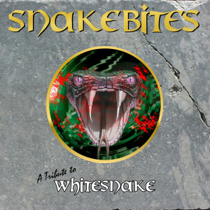 收聽Snakebite的Here I Go Again歌詞歌曲