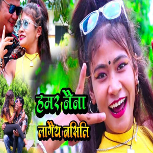 Listen to Hamar Neina Lagey Nasili song with lyrics from Parem Kumari Chaudhary