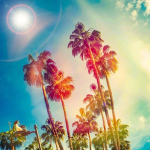 ดาวน์โหลดและฟังเพลง Bokuno Sunshine พร้อมเนื้อเพลงจาก Shamanz