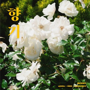 ดาวน์โหลดและฟังเพลง 향기 (with.mOOn) (其他) พร้อมเนื้อเพลงจาก Homeboy