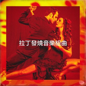 อัลบัม 拉丁发烧音乐组曲 ศิลปิน Acordeón Latino