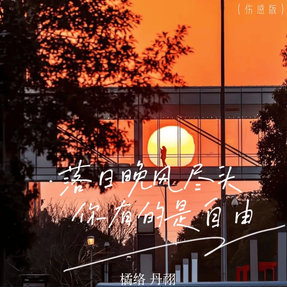 落日晚风尽头 你有的是自由 (伤感版)