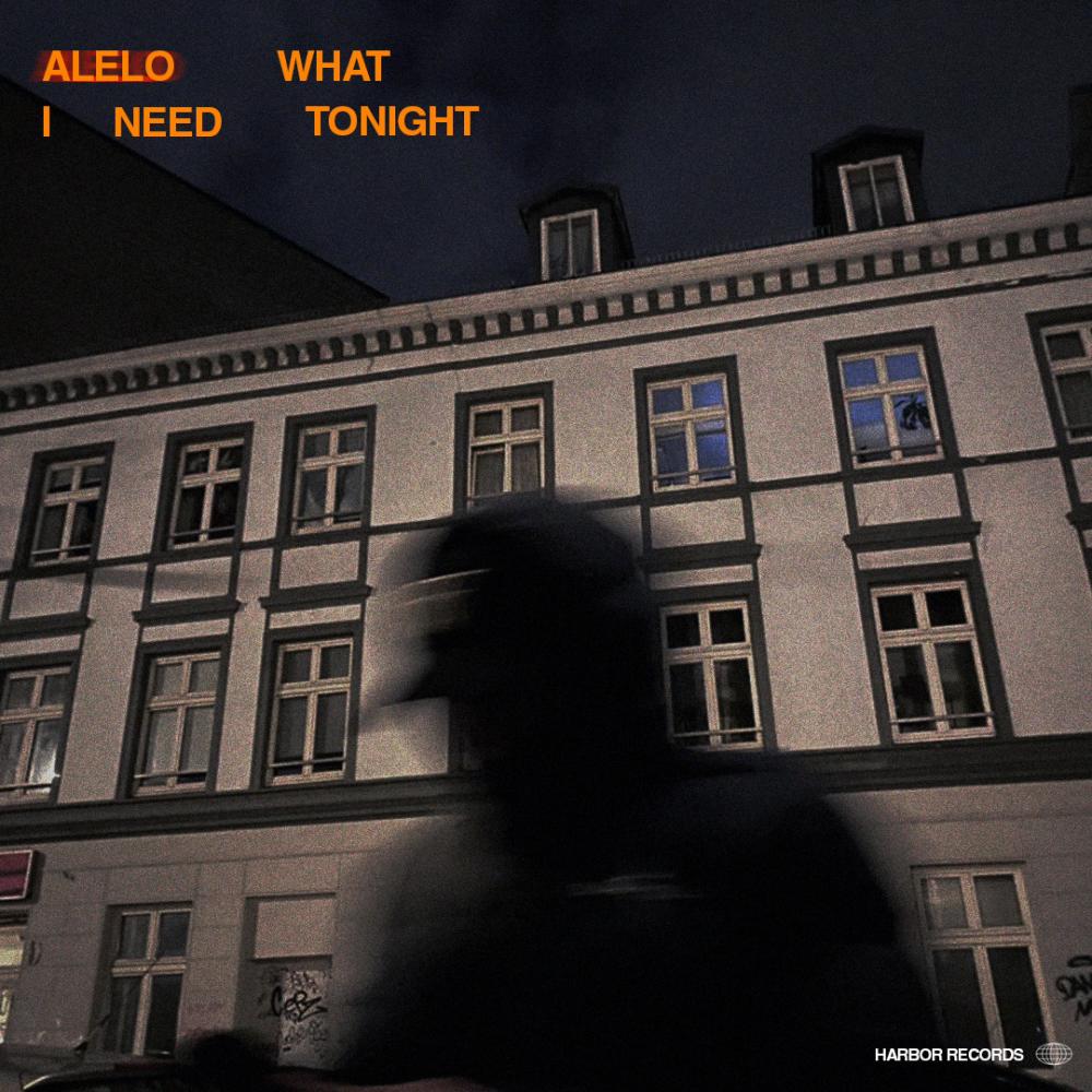 What I Need Tonight (Explicit)