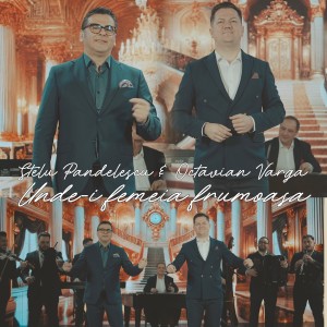 Album Unde-i femeia frumoasa from Stelu Pandelescu