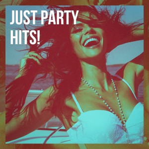 Cover Pop的专辑Just Party Hits!