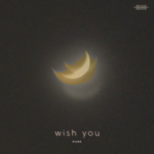 Album wish you - Single from Pure