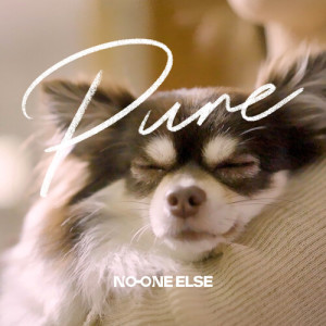 อัลบัม Pure (Pure) ศิลปิน No One Else