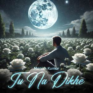 ดาวน์โหลดและฟังเพลง Tu Na Dikhe พร้อมเนื้อเพลงจาก Manish Kumar