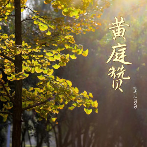 ดาวน์โหลดและฟังเพลง 黄庭赞 พร้อมเนื้อเพลงจาก 张弄儿YOYO