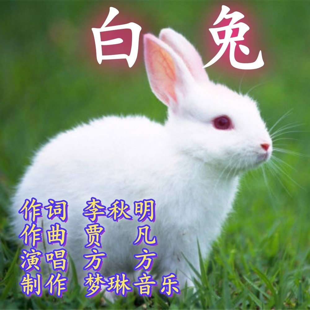 白 兔 (伴奏)