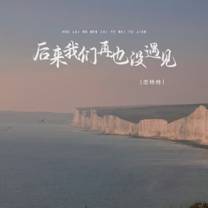 Album 后来我们再也没遇见 from 恋特特