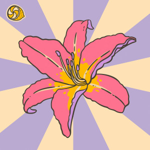 Bonbon Bay的專輯Flowers