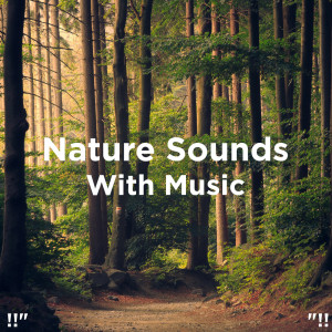 ดาวน์โหลดและฟังเพลง Nature Sounds & Music พร้อมเนื้อเพลงจาก Nature Sounds