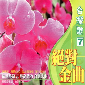 洪榮宏的專輯臺灣歌 絕對金曲（7） (海底針，思慕的人，臺北雨夜情，夢中相伴！)