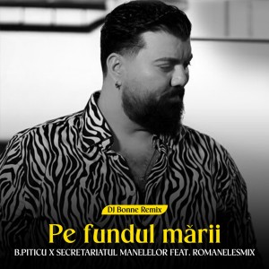 Album Pe fundul marii (Dj Bonne Remix) from 