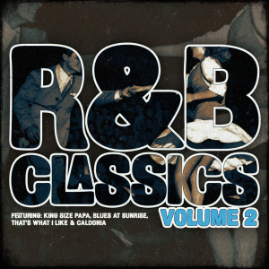 Album R&B Classics Vol.2 from Various