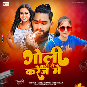 收聽Manoj Bedardi的Goli Mari Le Karej Me歌詞歌曲