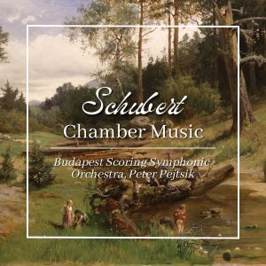 Péter Pejtsik的專輯Schubert: Chamber Music