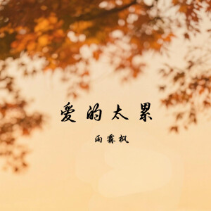 雨霖枫的专辑爱的太累
