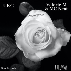 收聽Freeway的Missin You (Freeway 'Funky Wah Wah' Mix)歌詞歌曲