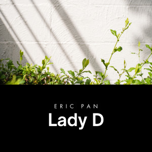 Album Lady D from 