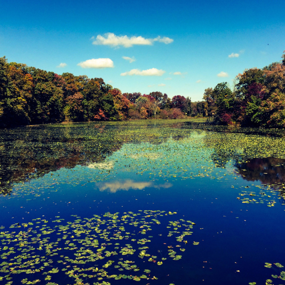Rhythms of Mindfulness
