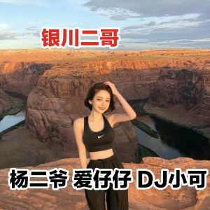 Album 银川二哥 from 杨二爷