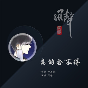 Listen to 真的舍不得 (伴奏) song with lyrics from 风哥