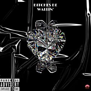 Dengarkan lagu Bitchies Be Wallin' (feat. Mo Money) nyanyian wly timo dengan lirik