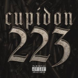 Album 223 (Explicit) oleh Cupidon